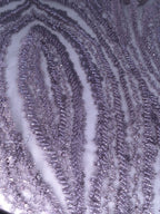 Tul bordado Con Canutillo y Chaquira Color Mauve A865 — Palacio Glamour